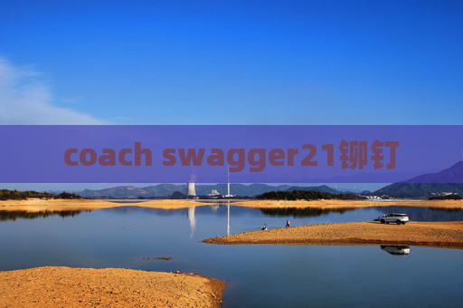 coach swagger21铆钉